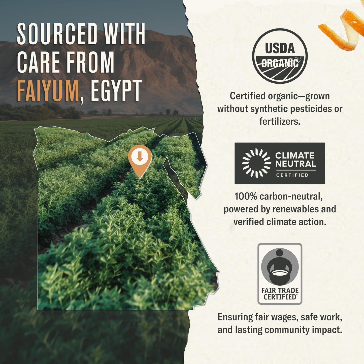 Numi Organic Tea Moroccan Mint, 18 Count Box of Tea Bags, Herbal Teasan