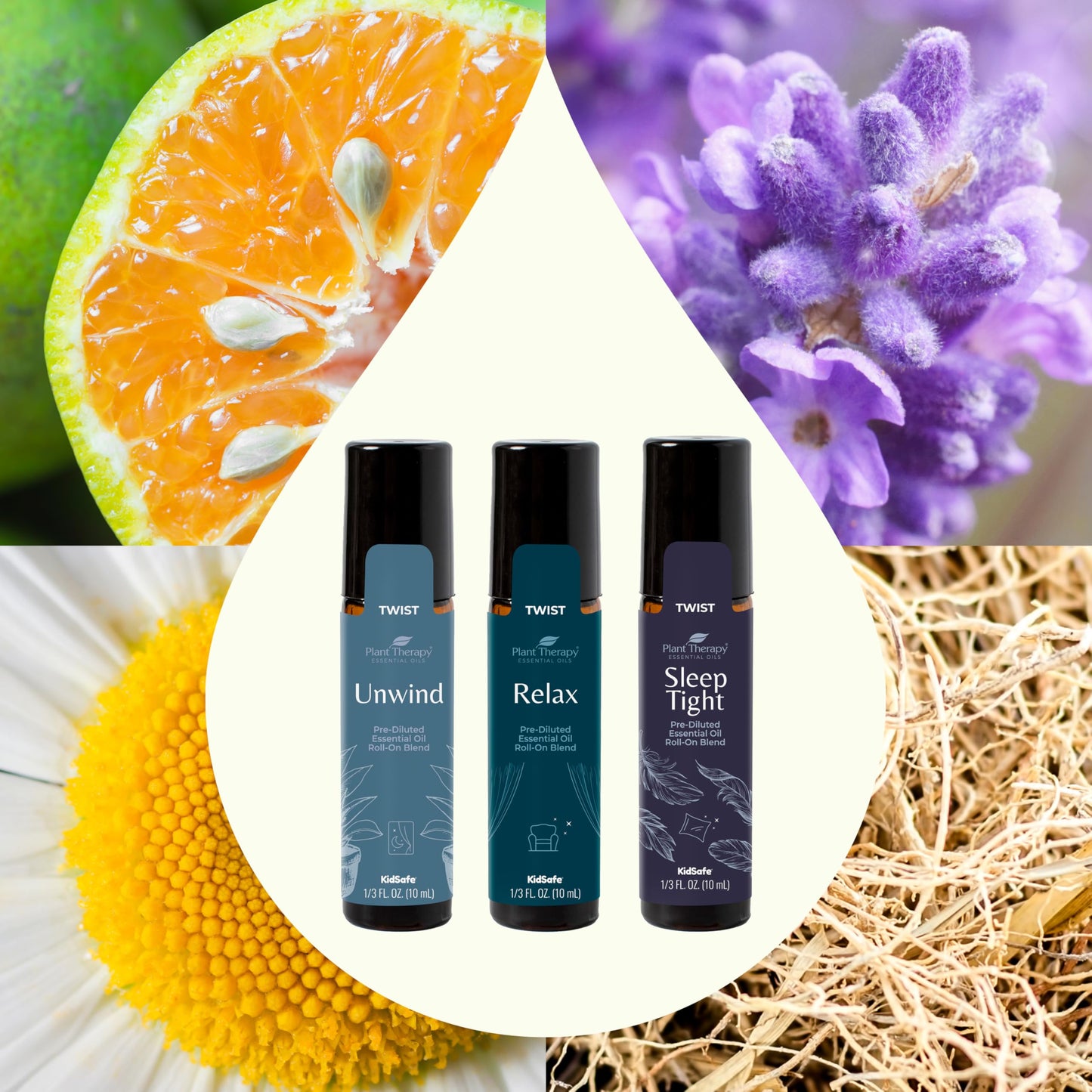 Plant Therapy Sleep Easy Essential Oil Roll On Blend Set 10 mL (1/3 oz) Each of Relax, Sleep Tight & Unwind, Pure, Pre-Diluted, Essential Oil Blends