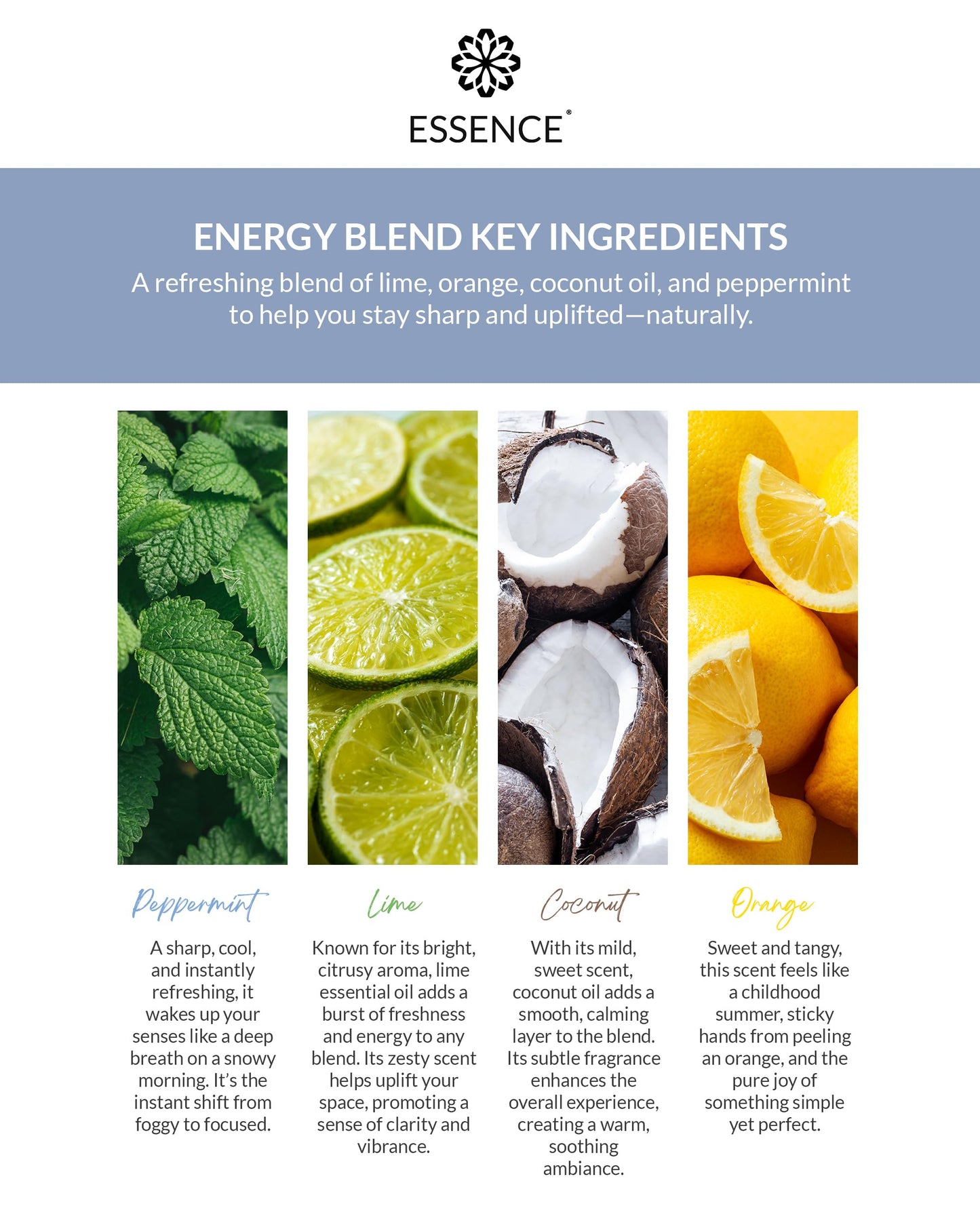 Essence Wearable Aromatherapy Nasal Diffuser – Energy Blend Essential Oil Nose Ring – Personal Scent Clip for Travel, Work & Everyday Use – Made in USA (3 Pack)