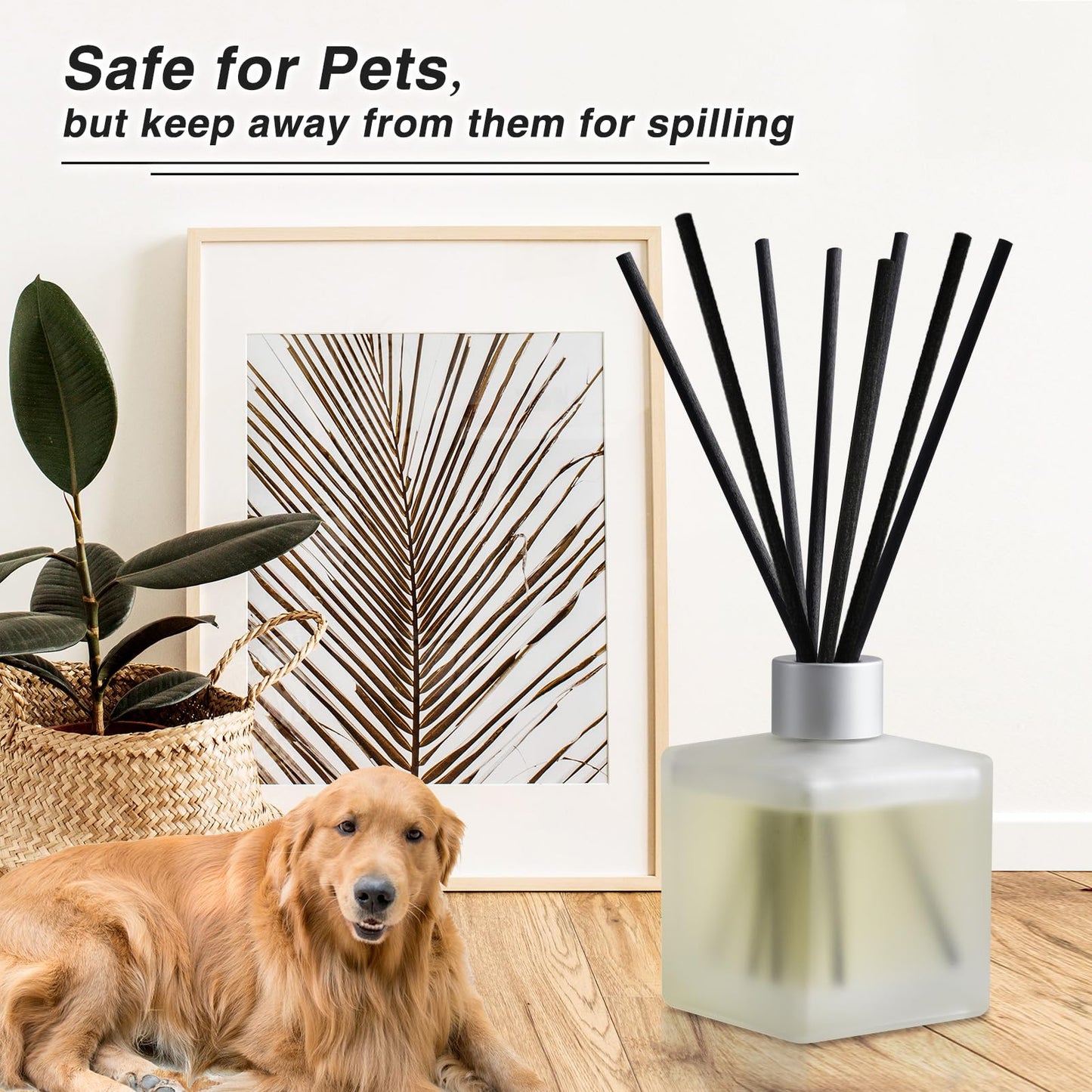 Brakula Reed Diffusers Set - Bamboo & White Tea Scented Aromatic Oil Diffuser with 10 Sticks for Room Décor, 6.1 oz /180ml, Long-Lasting Fragrance