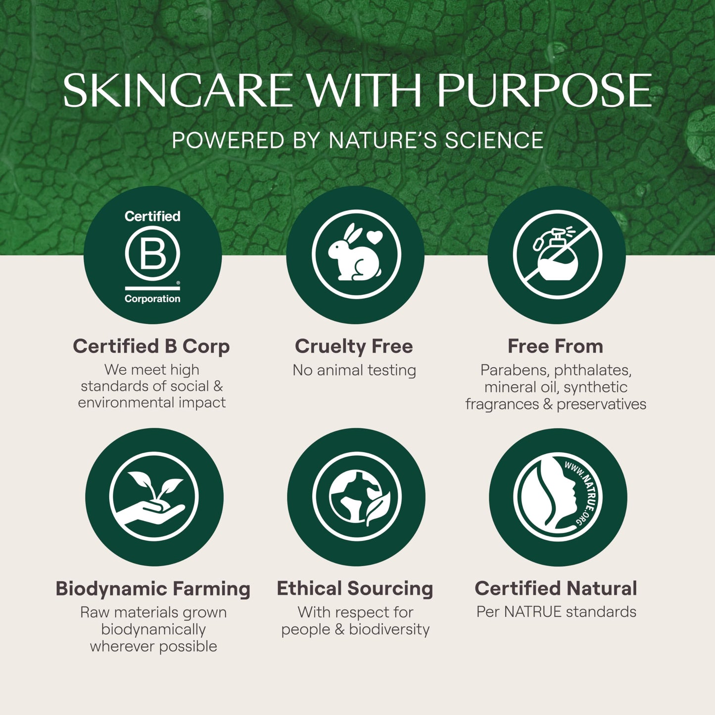 Weleda Skin Food Ultra-Light Dry Oil, 3.4 Fluid Ounces, Plant-Rich Formula with Vitamin-Rich Oils and Extracts of Pansy and Chamomile