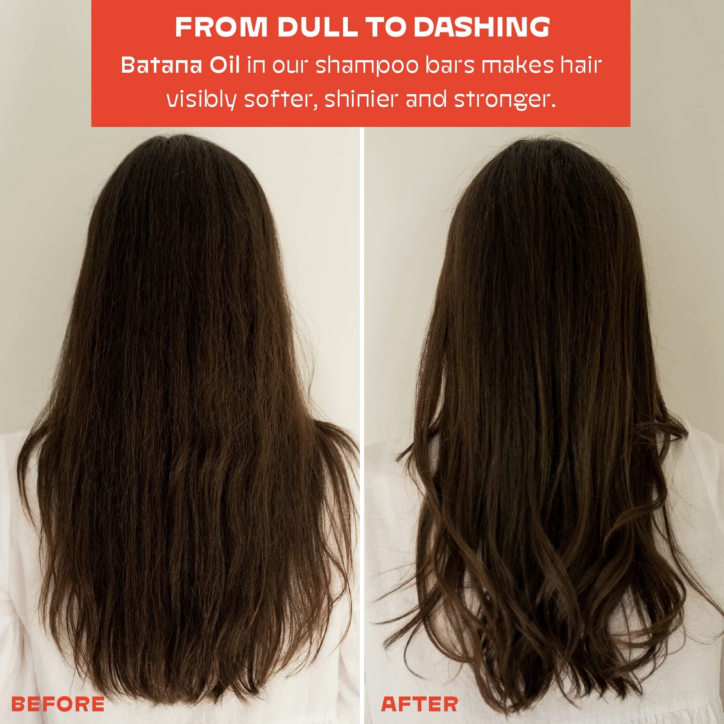 OLE CARE Travel Size Shampoo and Conditioner Bar Set with Batana Oil - Sustainable, PH Balanced, Discovery Set, Plastic-Free, Color-Safe, Eco-Friendly, Solid Sustainable Bars, Zero Waste, 2.5 oz Bar