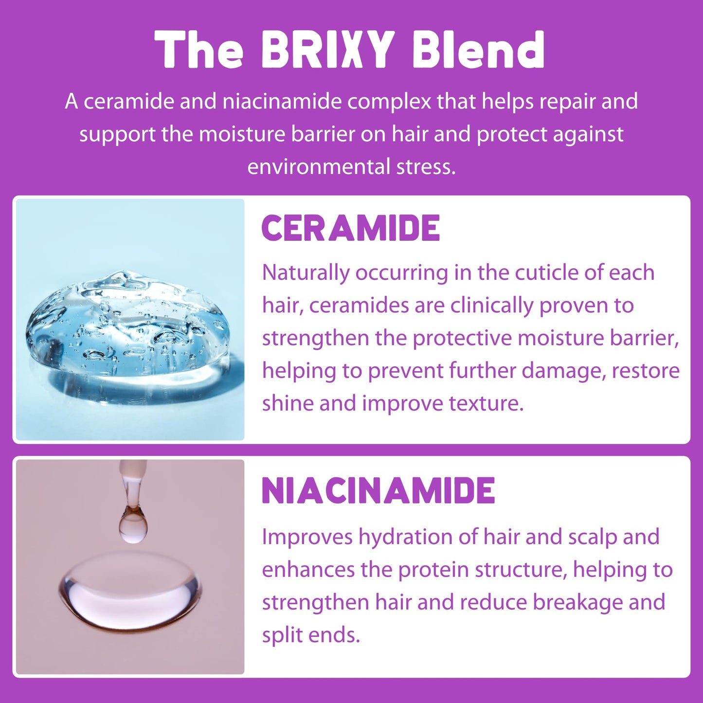 BRIXY Balance Shampoo Bar For Oily Hair | Algae Oil, Castor Oil, & Provitamin B5 | Ceramide & Niacinamide Support The Moisture Barrier | pH Balanced, Color Safe, Vegan, Made In USA