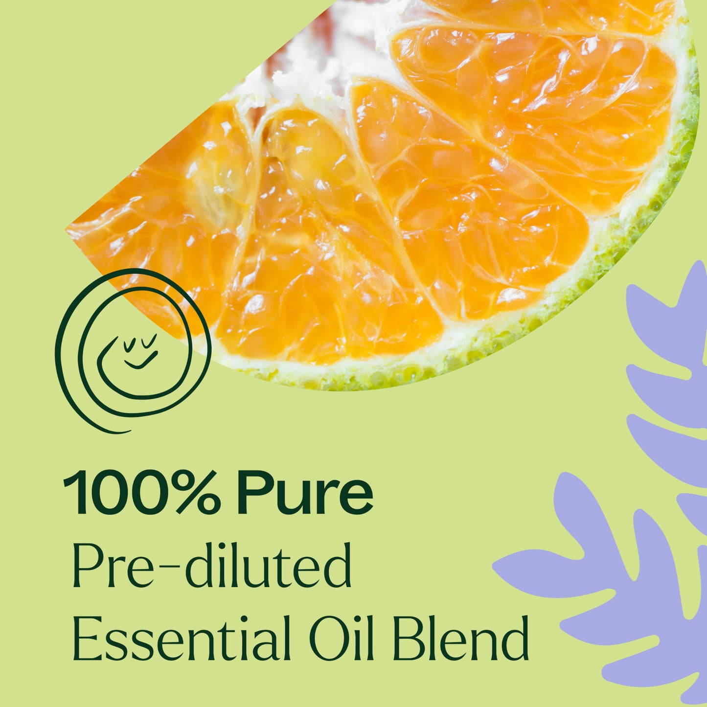 Plant Therapy Sleep Tight Essential Oil Blend 10 mL (1/3 oz) Pre-Diluted Roll-On 100% Pure, Therapeutic Grade