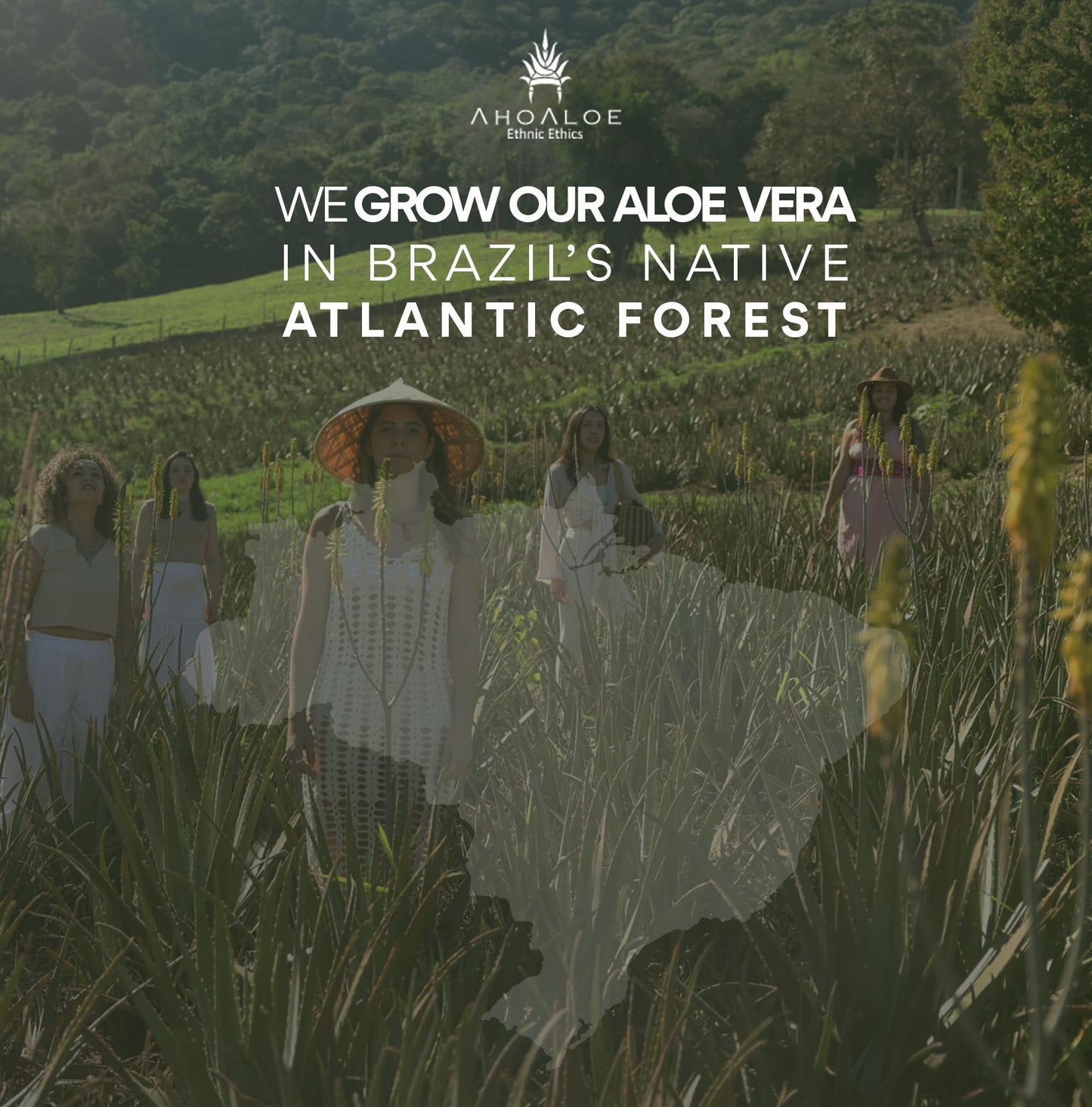 AHOALOE Brazilian Aloe Vera Gel - Multipurpose Moisturizing Natural Gel with Copaiba, Castor Oil and Fresh Mint and Natural for Face, Skin and Hair - After Sun Care, Sunburn Relief 8.4oz