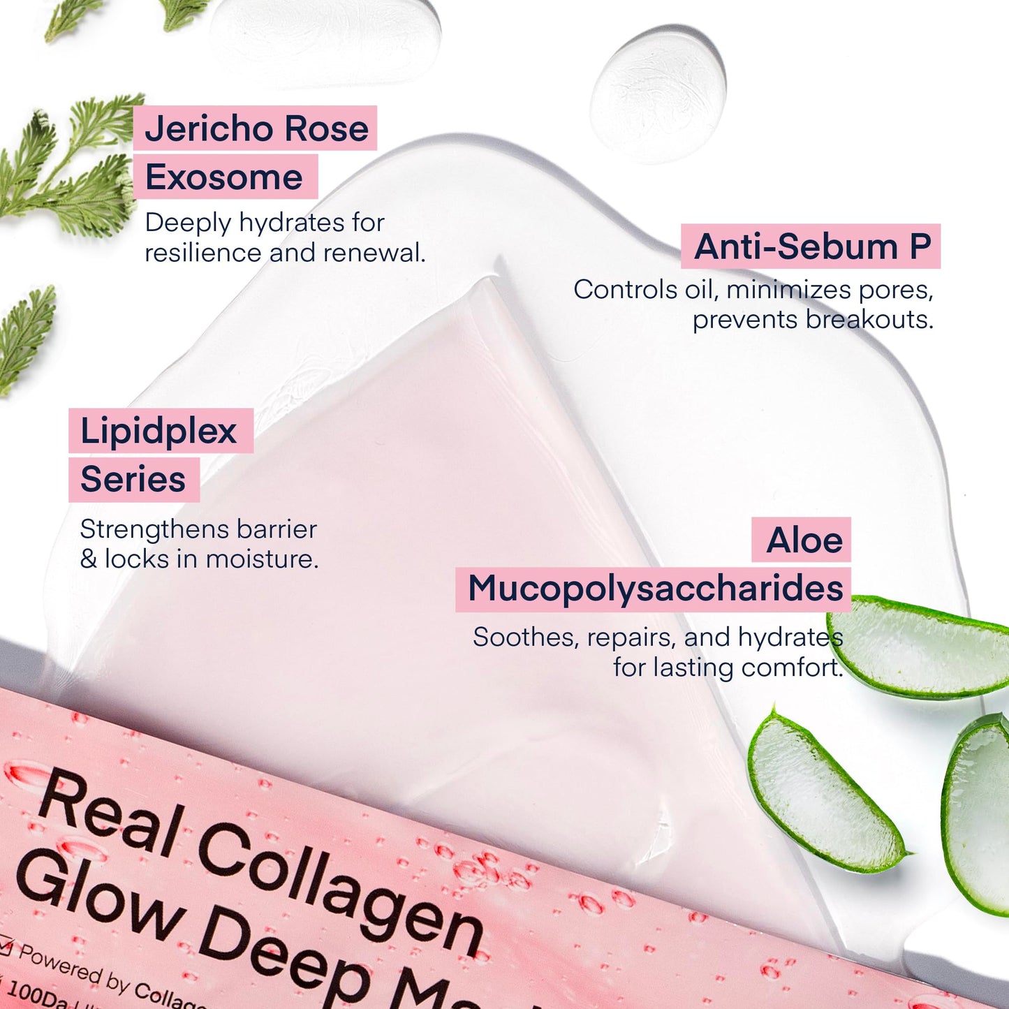 TEREZ & HONOR Collagen Face Mask: Korean Real Deep Bio Hydrogel Overnight Masks for Deep Hydration, Glowing, Pore Minimizing, Elasticity, 4 x 33g Fragrance-Free, 100 Da Ultra-Low Molecular Collagen
