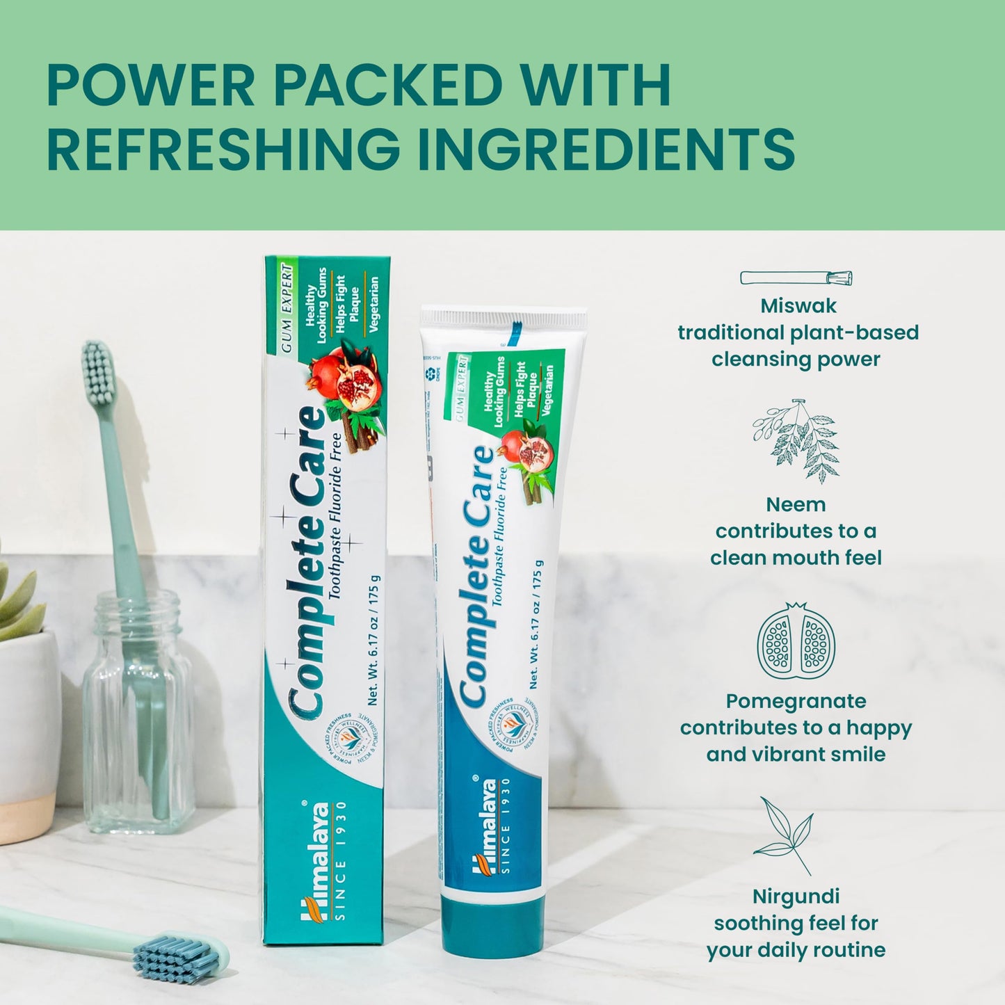 Himalaya Complete Care Toothpaste, Fights Plaque, Freshens Breath, Fluoride Free, Plant-Based, with Neem, Pomegranate, No Artificial Flavors, Cruelty Free, Mint Flavor, 6.17 Oz, 2 Pack…