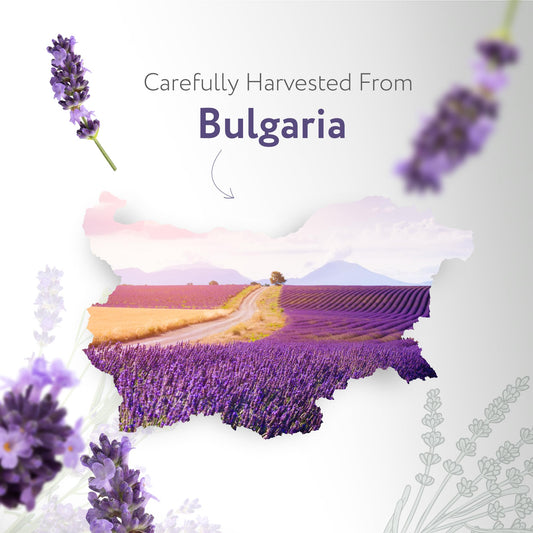 HBNO Organic Lavender Essential Oil Roll-On - 1/3 oz (10 ml) Travel Size - USDA Certified Organic Lavender and Mct Oils - Perfect for Traveling, Aromatherapy, Massage, perfumes, moisturizer