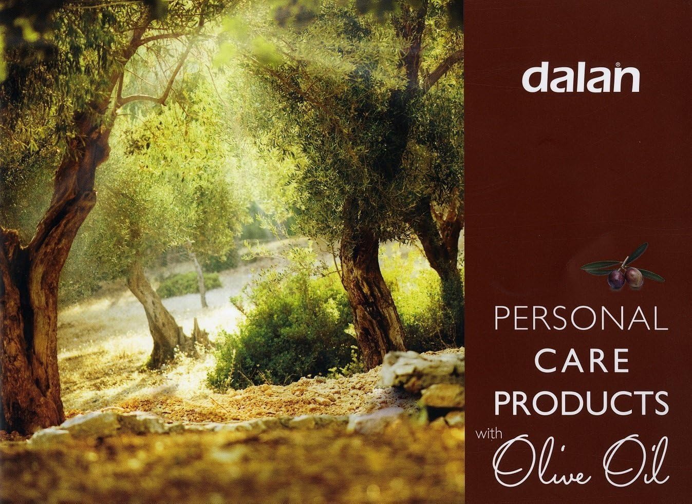 Dalan d`Olive Travel Kit, 5 Pieces - Shampoo, Hair Conditioner, Shower Gel, Bar Soap, Hand & Body Lotion