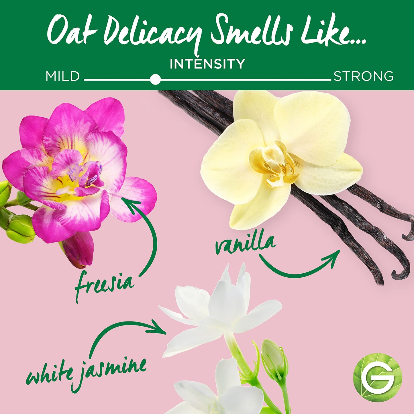 Garnier Whole Blends Softening Shampoo Bar for Fine to Normal Hair, Oat Delicacy, 2 Oz, 1 Count (Packaging May Vary)