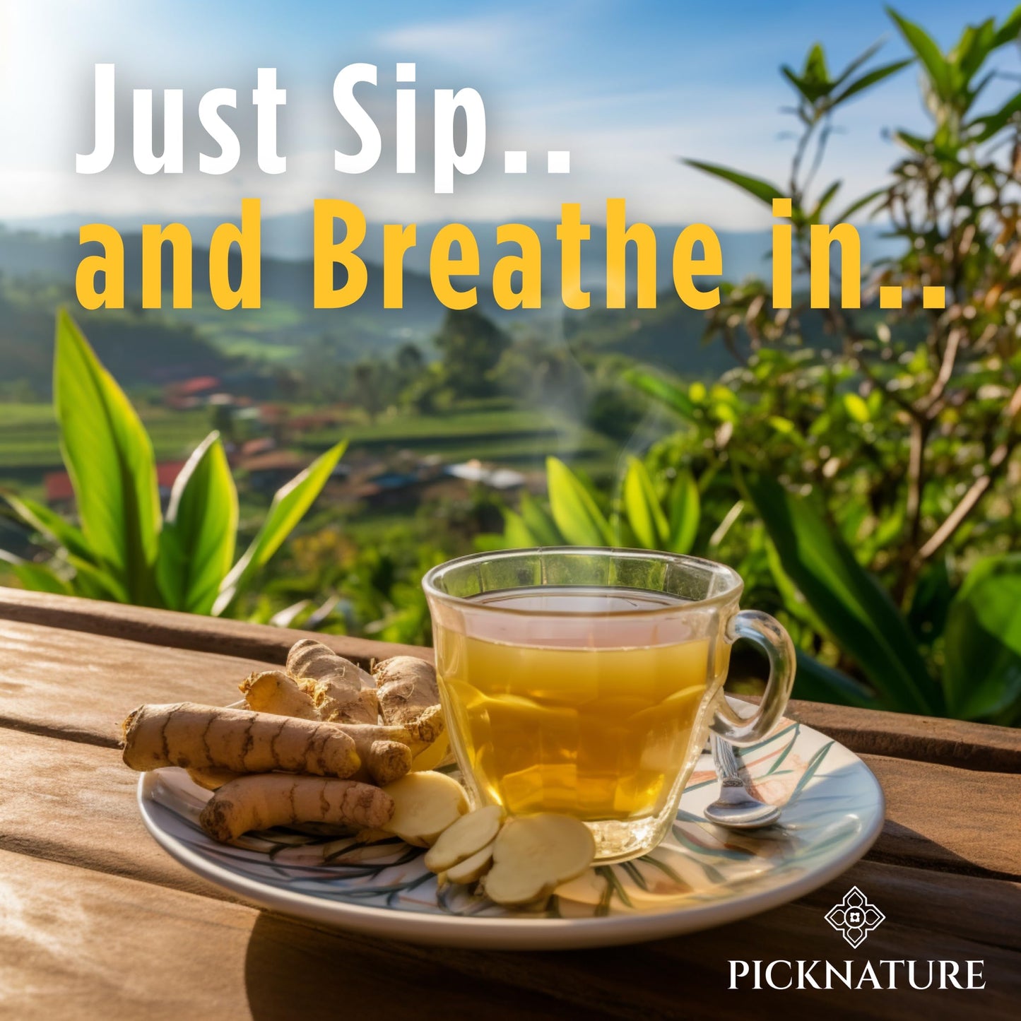 PICKNATURE USDA Organic Happy Tummy Tea - Digestive tea with Lemongrass, Turmeric, Ginger tea Freshly Picked from Thailand| 30 tea bags (100+ Cups) | Herbal Tea Gifts