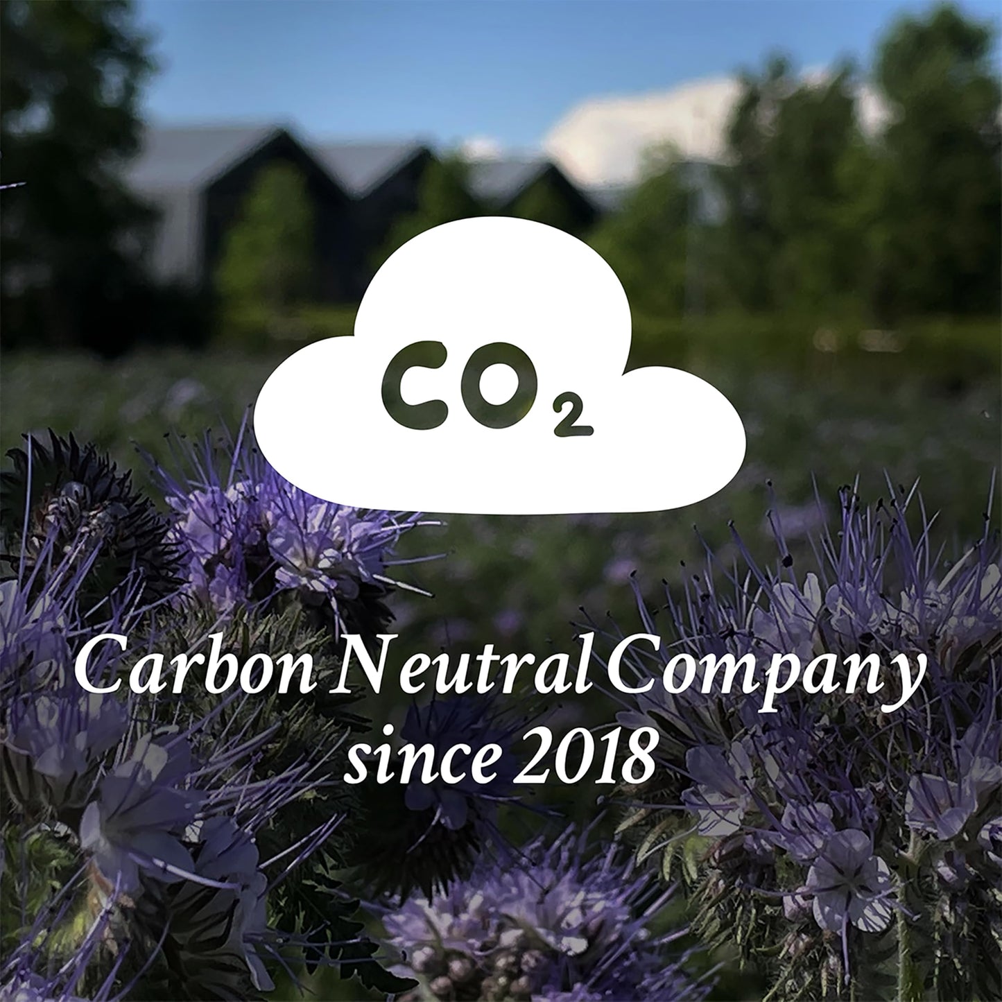 Davines LOVE Shampoo Bar, For Frizzy or Coarse Hair, Add Softness, Shine and Silky Texture, 100 g.