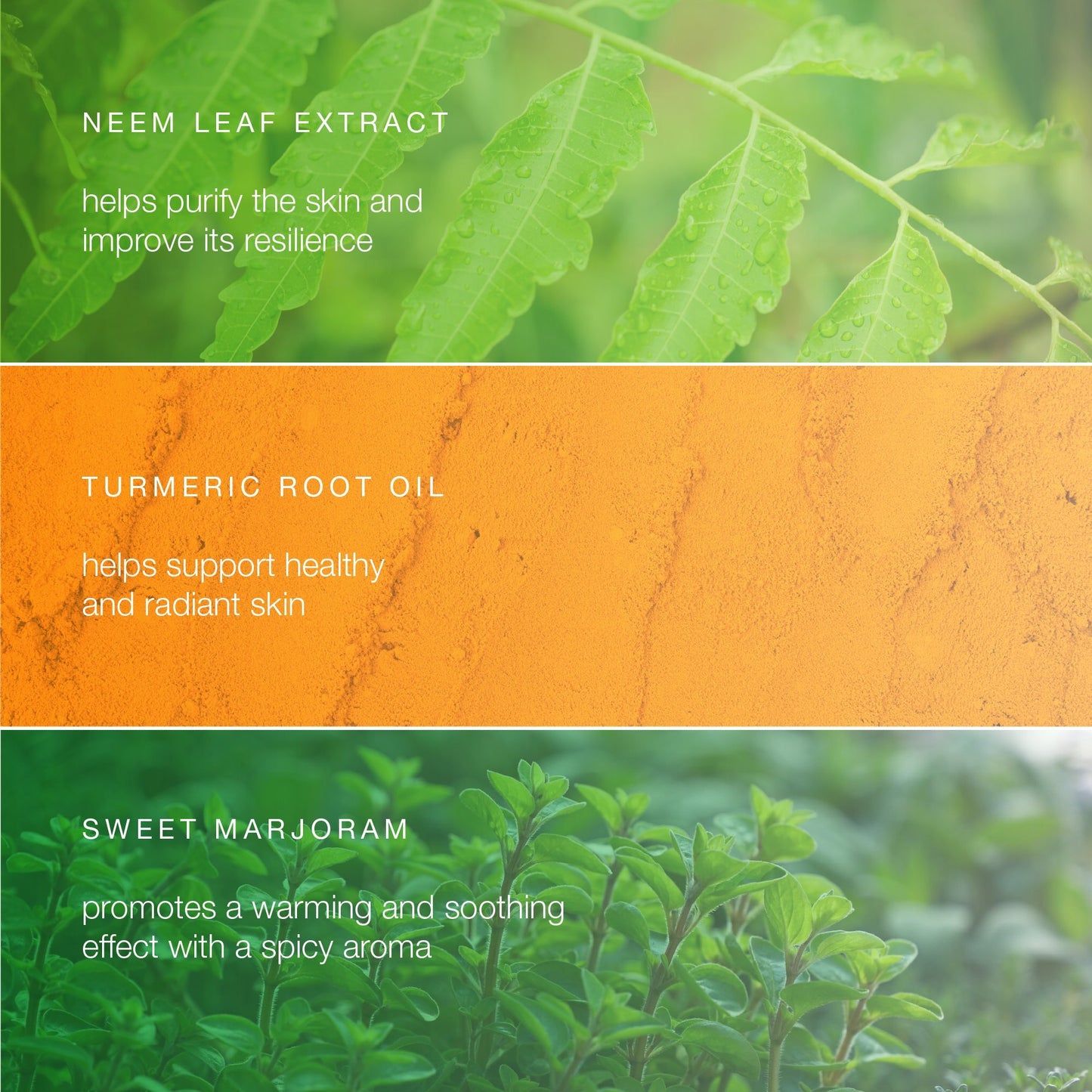 Himalaya Botanique Balancing Neem & Turmeric Face Wash, Dermatologically Tested, Vitamin E, Vegan, Cruelty Free, Paraben Free, SLS Free, 5.07 Fl Oz, 2 Pack