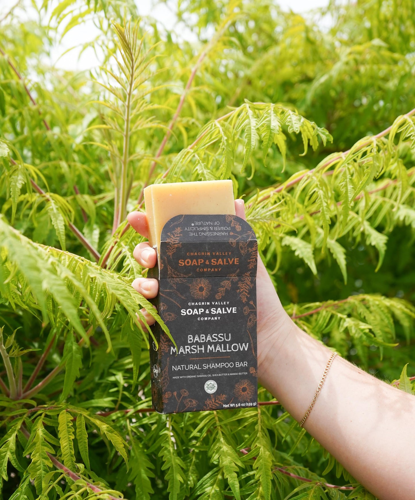 Chagrin Valley Soap & Salve Organic Babassu & Marsh Mallow Hair Shampoo Bar, Citrus Ginger Scent, 5.6 oz - For all Hair Care Types - Sulfate-Free, Vegan, Travel Shampoo that Adds Body, Bounce & Shine