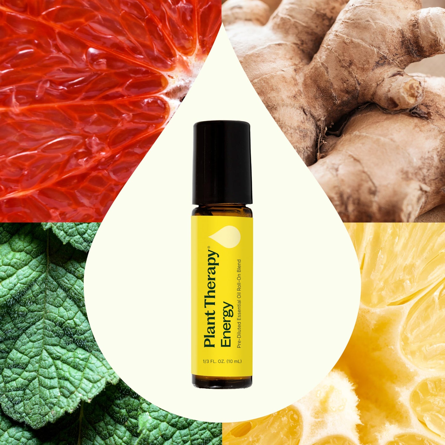 Plant Therapy Energy Essential Oil Blend 10 mL (1/3 oz) Refreshing, Energizing Blend 100% Pure, Pre-Diluted Roll-On, Natural Aromatherapy, Therapeutic Grade