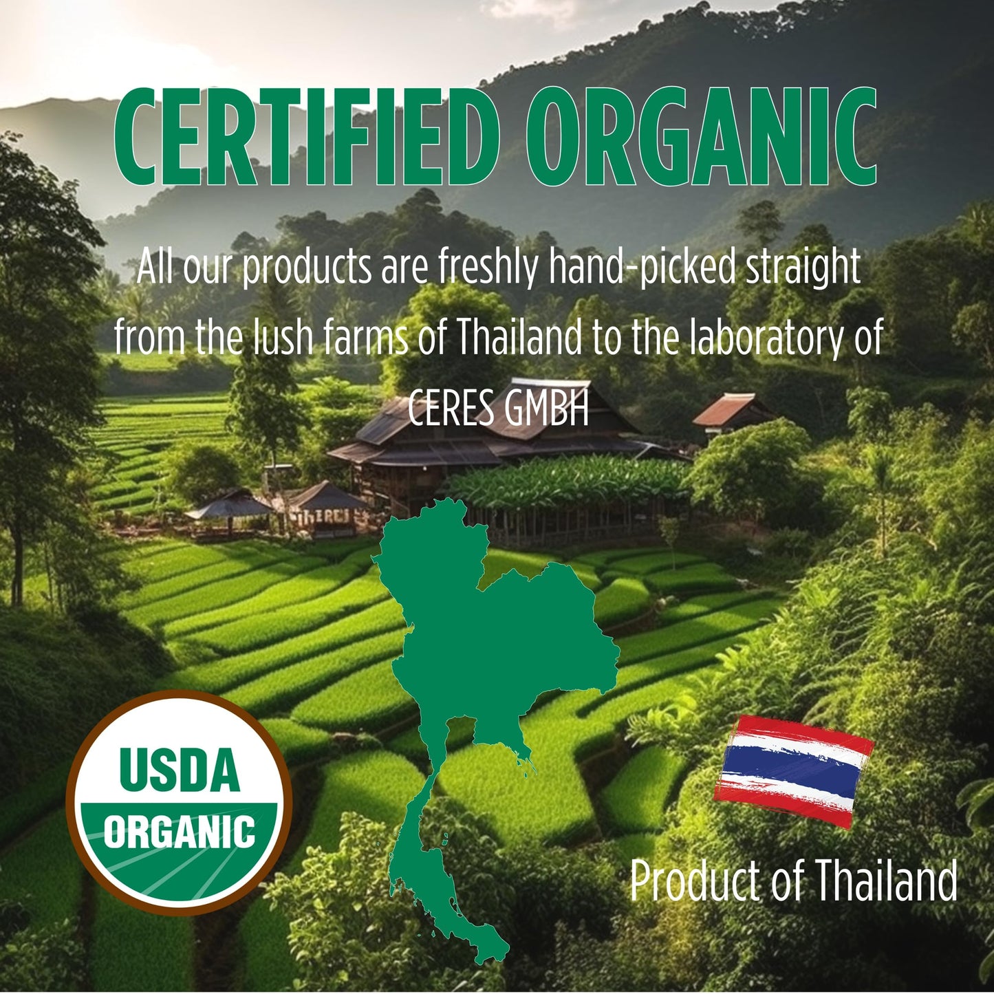 PICKNATURE USDA Organic Happy Tummy Tea - Digestive tea with Lemongrass, Turmeric, Ginger tea Freshly Picked from Thailand| 30 tea bags (100+ Cups) | Herbal Tea Gifts