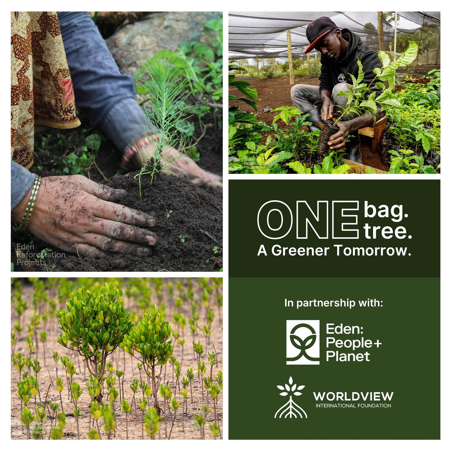 Nanobag Ultra-Lightweight Standard Size Tote Bag for Women & Men, Heavy Duty Reusable Grocery Bag, Foldable Travel Shopping Tote, Packable Cloth Bag with Handles, Washable Market Tote (Black)