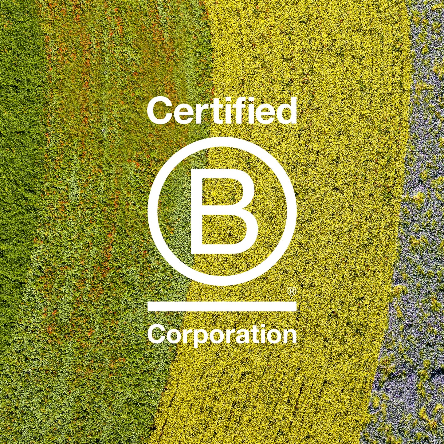 Davines LOVE Shampoo Bar, For Frizzy or Coarse Hair, Add Softness, Shine and Silky Texture, 100 g.