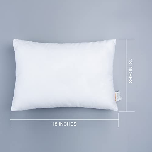 NTBAY 2 Pack Cotton Down Alternative 13x18 Pillows, Machine Washable - Soft and Breathable Travel Small Pillows for Sleeping, Ideal for Daycare, Crib, Cot