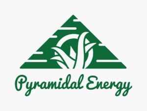 Aloe Vera Gel. Skin care. Lotion. Natural Gel 100 ml (98% Pure Aloe Vera Juice). 100% Pure Aloe transparent Gel Natural de Aloe Vera (organico) 98%. (3.4 Oz.)