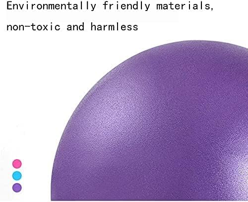 9 Inch Exercise Pilates Mini Yoga Balls Barre for Home Stability Squishy Training Physical Therapy Improves Balance with Inflatable Straw