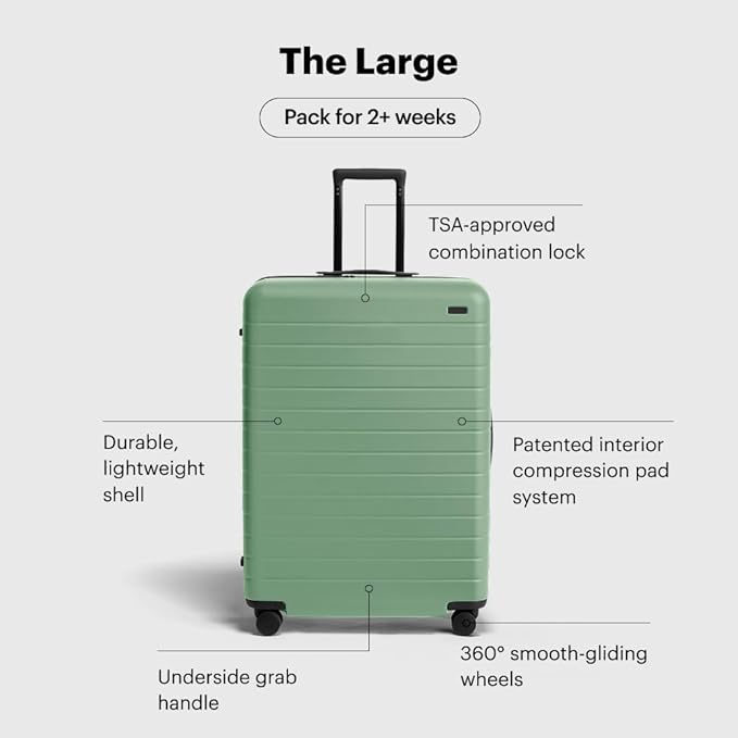 Away Large Checked Luggage, 29 Inch Hardside Suitcase with Spinner Wheels, Lightweight & Durable, TSA Lock, Sea Green
