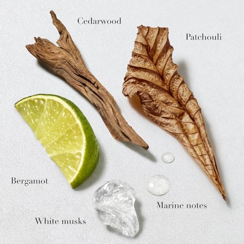 Armani beauty - Acqua di Gio -Deodorant - Cologne for Men - Long Lasting Fragrance with Bergamot notes, Jasmine, White Musks, Patchouli & Cedarwood – 2.6 Oz