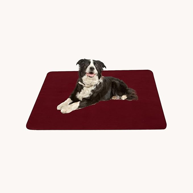 CAI TENG Fleece Throw Blanket 6 Pack Blankets Bulk Soft Lightweight Kid Blanket Cozy Small Blanket 50 x 60 Solid Pet-Friendly Bed Sofa Couch Fleece Fabric Travel Wedding Outdoor Burgundy