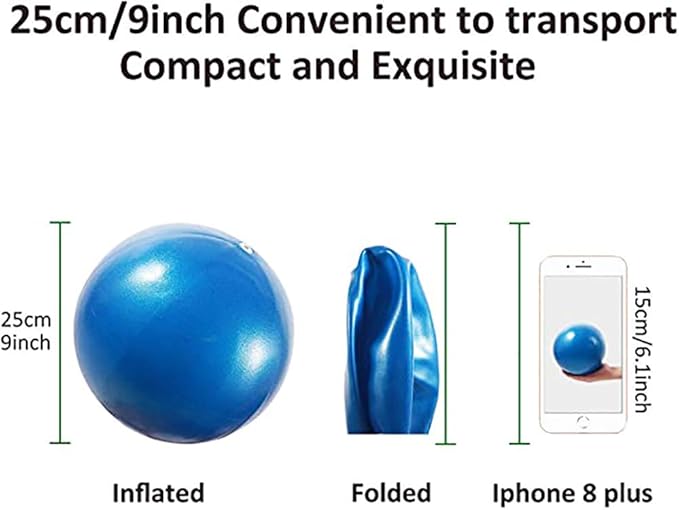 9 Inch Exercise Pilates Mini Yoga Balls Barre for Home Stability Squishy Training Physical Therapy Improves Balance with Inflatable Straw