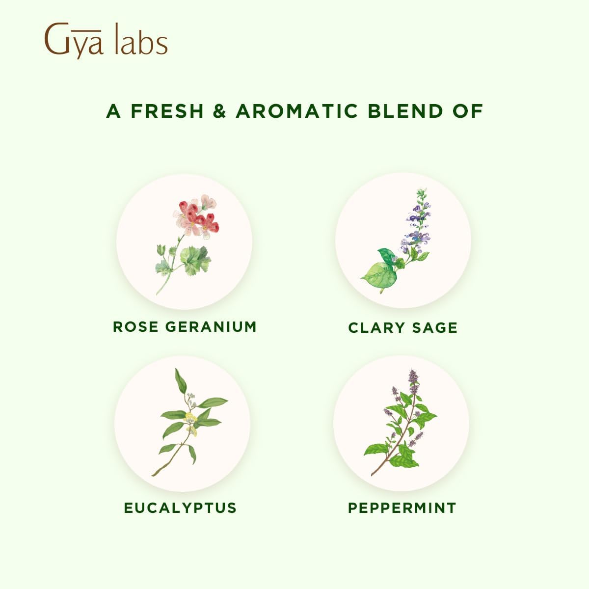 Gya Labs Focus Booster Essential Oil Blend - 100% Pure Natural Focus Essential Oil - Fresh & Minty Scent (0.34 Fl Oz)