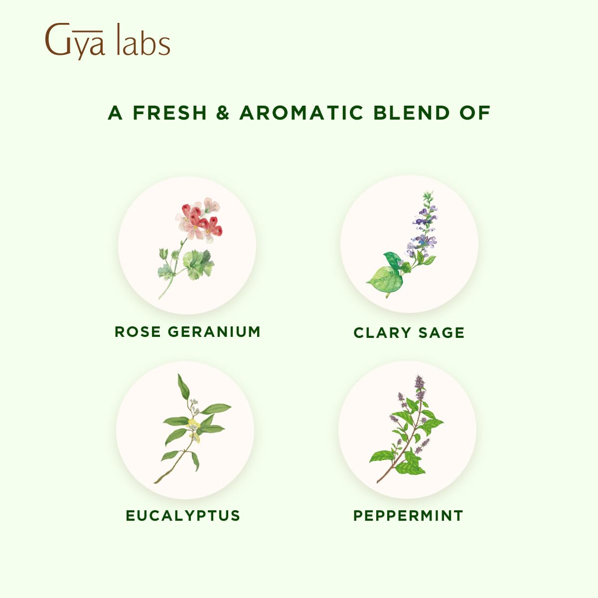 Gya Labs Focus Booster Essential Oil Blend - 100% Pure Natural Focus Essential Oil - Fresh & Minty Scent (0.34 Fl Oz)