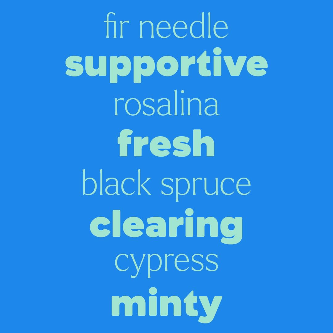 Plant Therapy KidSafe Sniffle Stopper Essential Oil Blend Pre-Diluted Roll-On 10 mL (1/3 oz) Respiratory Support Blend 100% Pure, Natural Aromatherapy, Therapeutic Grade