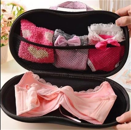hefeilzmy Travel Home Organizer Zip Bag Case Portable Bra Storage Bag Waterproof Bra and Underwear