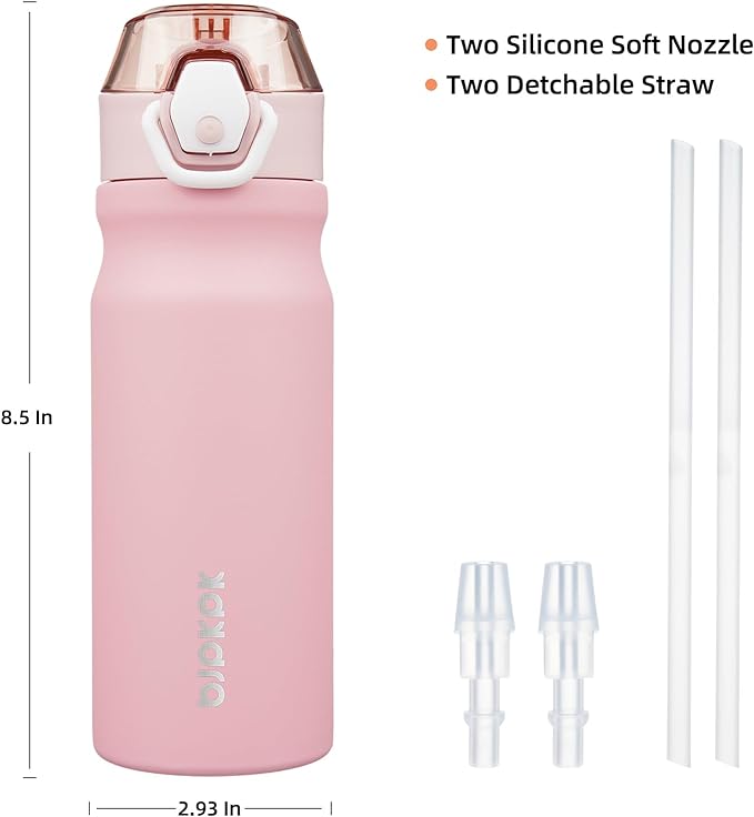 BJPKPK Water Bottle With Straw 18oz Insulated Water Bottles Reusable Stainless Steel Metal Thermo With Leak Proof Lockable Lid And Carry Handle,Light Pink
