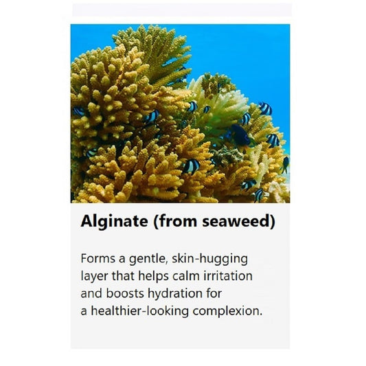 jNE Anskin Original Modeling Mask Powder Pack | Korean Skincare Face Pack for Calming Irritated Skin, Deep Hydration & Pore-Cleansing Care (35.27oz / 1kg, Cool Ice)