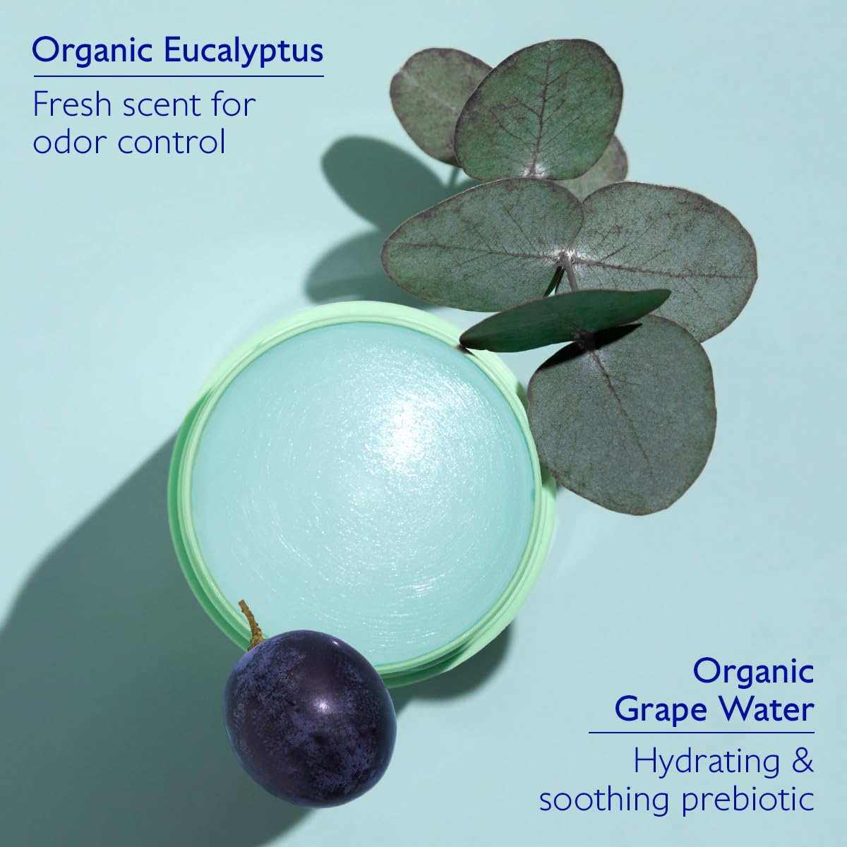 Caudalie Vinofresh Natural Deodorant Stick, Aluminum Free and Alcohol Free, with Eucalyptus & Grape - 50g