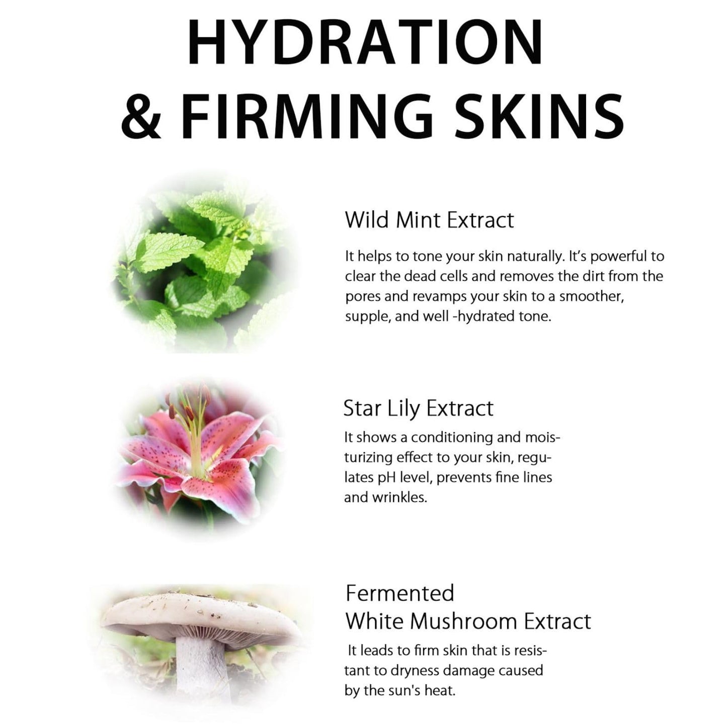 Lululun 7 EA Hydrating Face Mask for Women & Men, Moisturizing Face Masks Skincare with Billberry Leaf & Cranberry Extracts, Daily Face Mask Sheets & Facial Sheet Masks Japanese Skincare, PINK DAILY