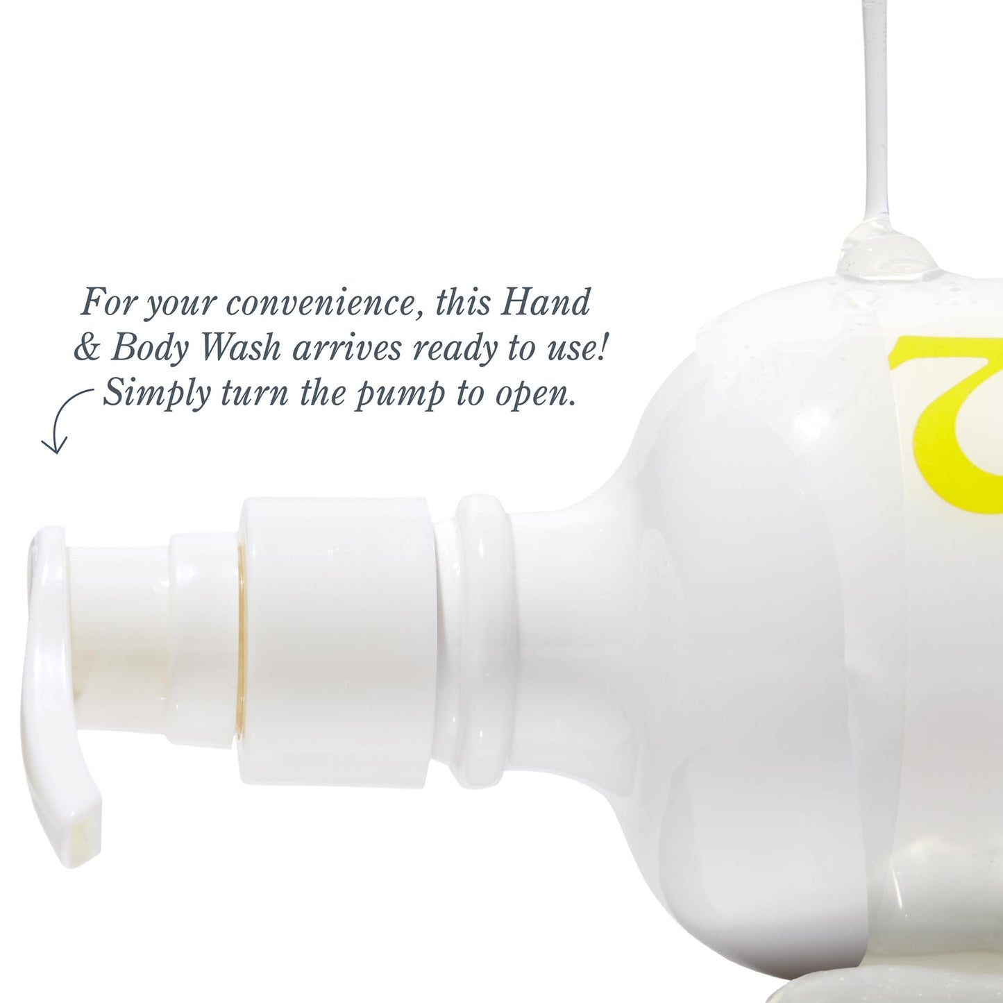 Beekman 1802 Goat Milk Hand Wash, Vanilla Absolute - Scented - 12.5 oz - Cleanses, Softens & Nourishes Skin - Good for Sensitive Skin - Cruelty Free - Ready For Use, Pump Inserted