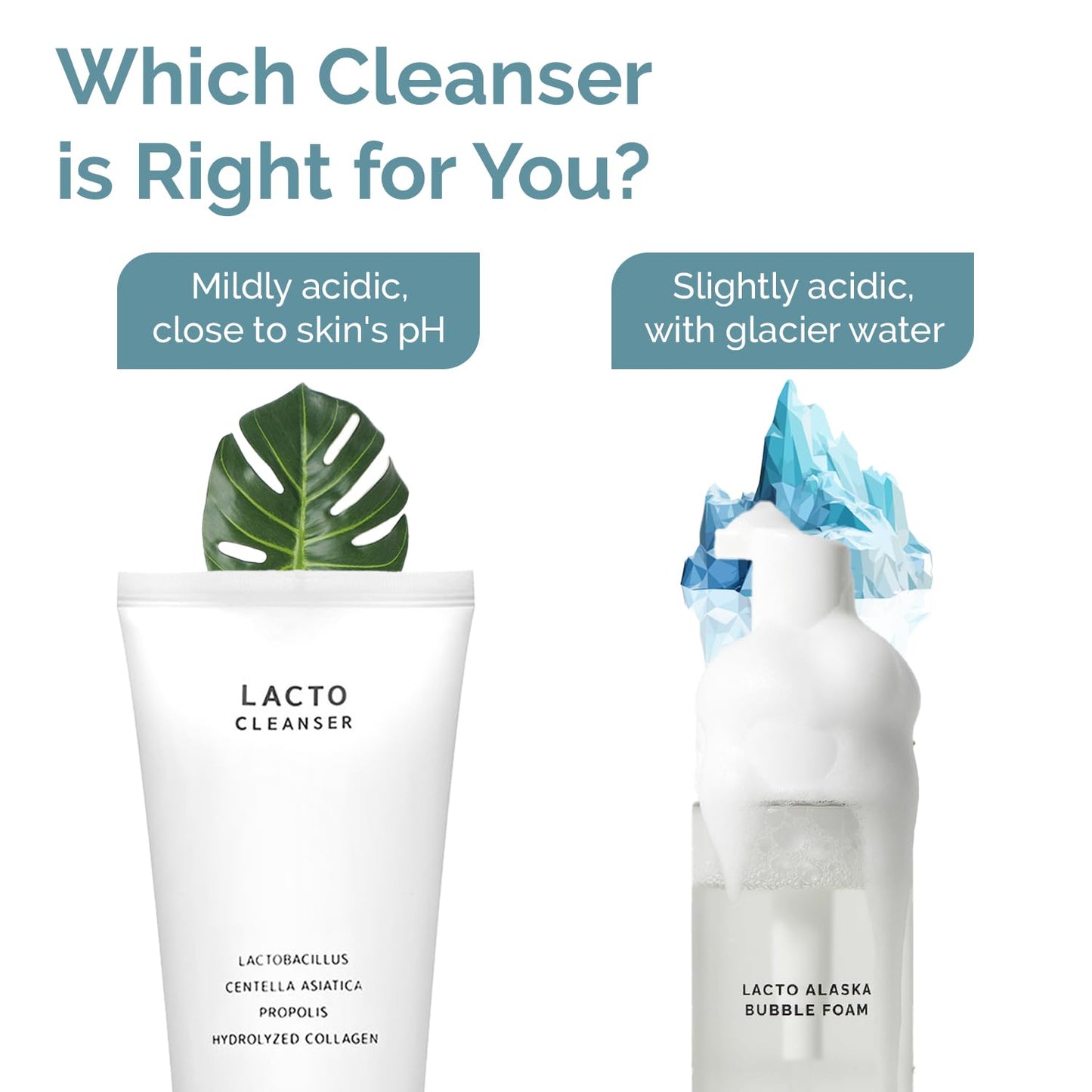 BENETUS Lacto Cleanser, Facial Cleanser, Face Wash, Moisture Balance, for Sensitive Skin Korean Skincare, 150ml