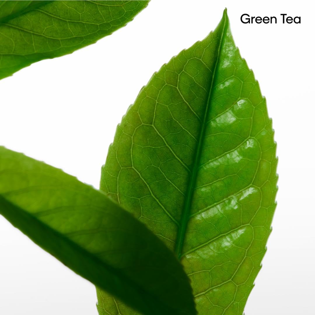 Calvin Klein CK One Deodorant Stick – With Notes of Green Tea, Bergamot, Cardamom, Violet & Amber – 2.6oz