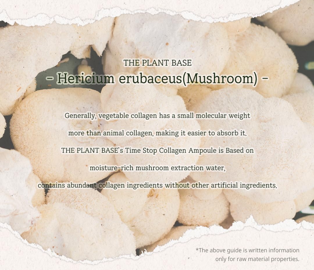 Time Stop Collagen Ampoule Mushroom Extract 30ml | Mushroom Extract 76% | Mushroom Collagen | Antiaging Ampoule | VOGUE Best K-Beauty | Plant base, Paper tube | Korean Skincare, Kbeauty, Korean Beauty