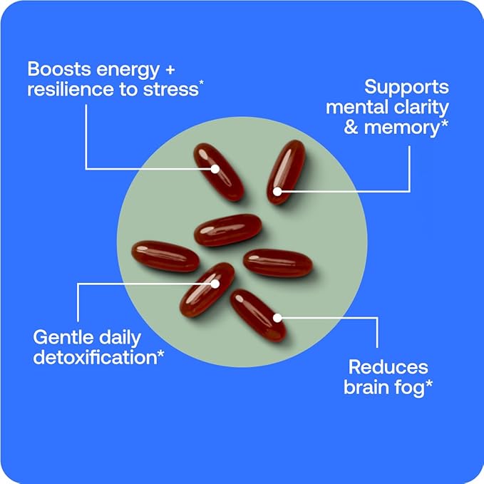 BodyBio PC - Phosphatidylcholine for Brain Health, Mental Clarity, Cognitive Function, Cellular Repair & Healthy Aging, Phospholipid Complex Supplement for Gentle Daily Detox