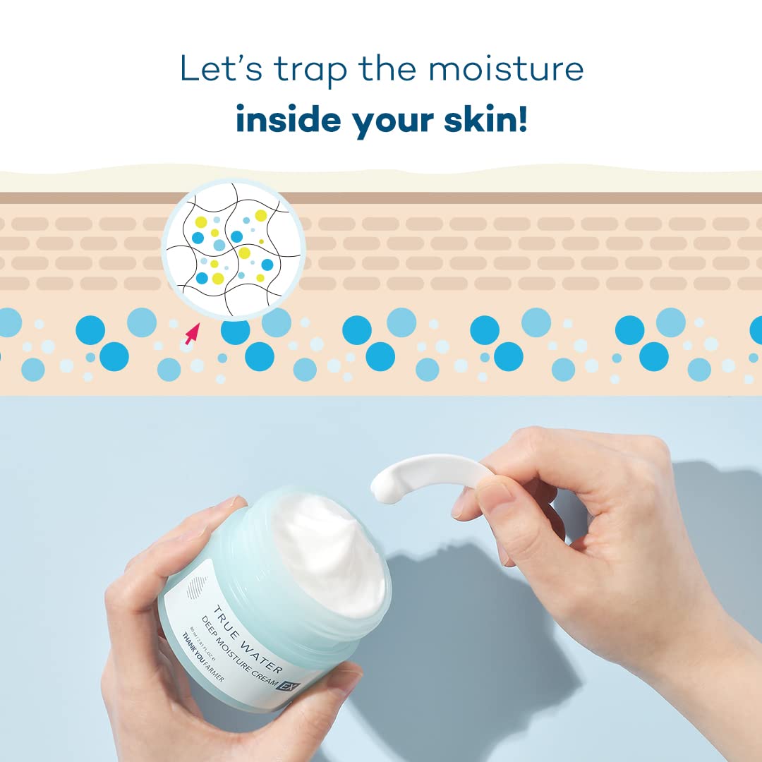 THANKYOU FARMER True Water Deep Moisture Cream EX - Hyaluronic Acid Moisturizer, Ceramide, Panthenol, Dermatologist Tested Korean Moisturizer for Face, Fragrance-free, 2.81 Fl Oz (80ml)