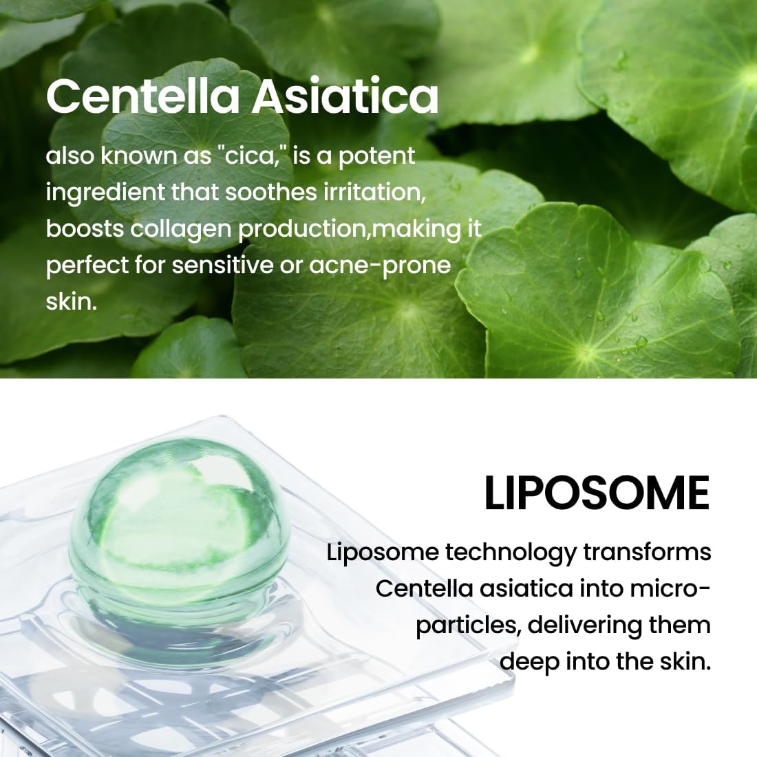 delphyr Liposome Waterful Bubble Serum, Hydrating Foaming Toner for Sensitive Skin with Centella Asiatica TECA, Korean Skincare for Trouble Care (5.07 fl. oz, 150ml)