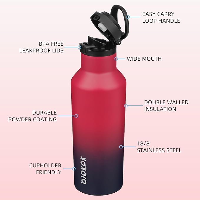 BJPKPK Insulated Water Bottle With Straw 17oz Stainless Steel Water Bottles With 2 Lids And Carry Handle Reusable Travel Metal Thermo,Charming Black Red