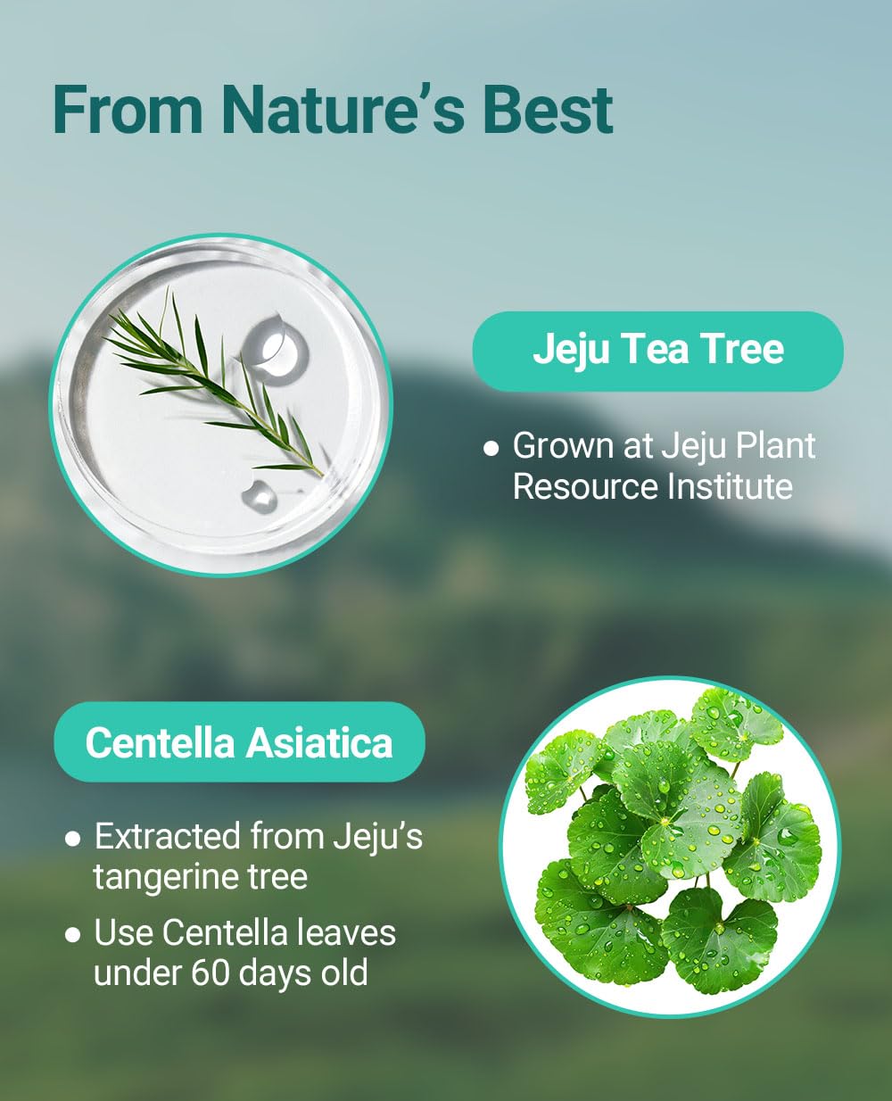 BRING GREEN TEA TREE CICA TRIAL KIT | Travel Size Korean Skin Care Set for Acne-Prone, Sensitive Skin | Zinc Teca Serum, Tea Tree Cica Moisturizer & Deep Cleansing Foam | Hydrating & Oil Control