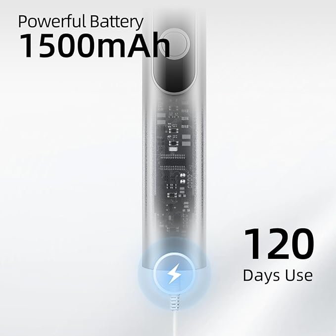 Adult Sonic Electric Toothbrush with 10 Brush Heads, Travel case, and Wall Bracket, Suitable for Both Adults and Children, IPX8 Waterproof, USB Charging, 42000VPM, Silver