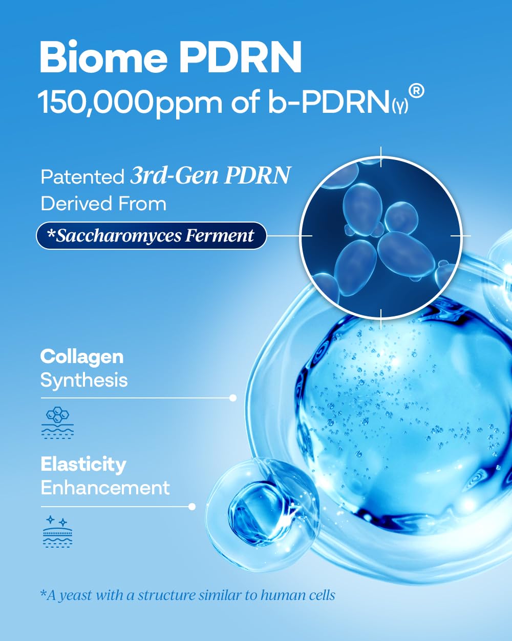 Bano PDRN Collagen Gel Mask - Korean Overnight Face Mask for Firming & Deep Hydrating | Biome PDRN for Skin Elasticity | Korean Skin Care for Sensitive Skin | Fragrance-Free |1.23 oz, 4EA