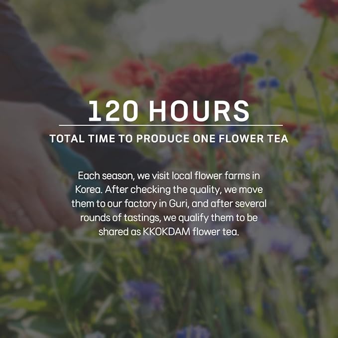 KKOKDAM Korean Tea Gift Set – 6 Flavor Butterfly Tea Bag Sampler – Elegant Box for Tea Lovers - Perfect as Unique Gifts or Gift Set for Women