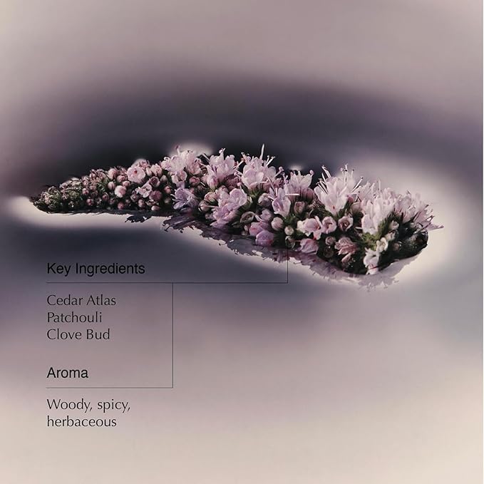 Aesop Eleos Nourishing Body Cleanser | Hydrating Ingredients For Refreshed, Soft Skin | Enriched With Emollients, Humectants, Purifying Botanicals | 500mL / 16.9oz